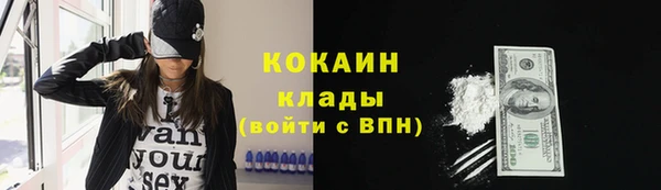 дживик Алзамай