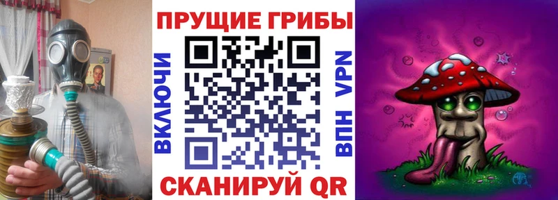 Псилоцибиновые грибы Psilocybine cubensis  где продают наркотики  Вышний Волочёк 